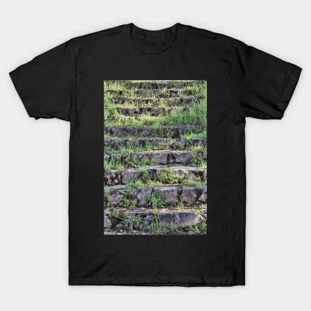 The forgotten stairway T-Shirt by WesternExposure